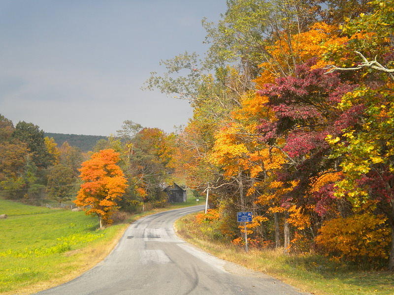 Country Road in the Fall Photograph by Diannah Lynch