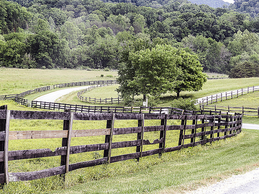 Country Road Photograph by Linda A Waterhouse - Fine Art America