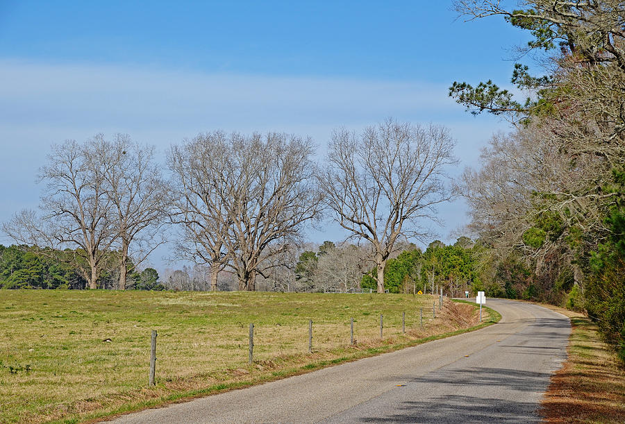 Country Road Photograph by Linda Brown