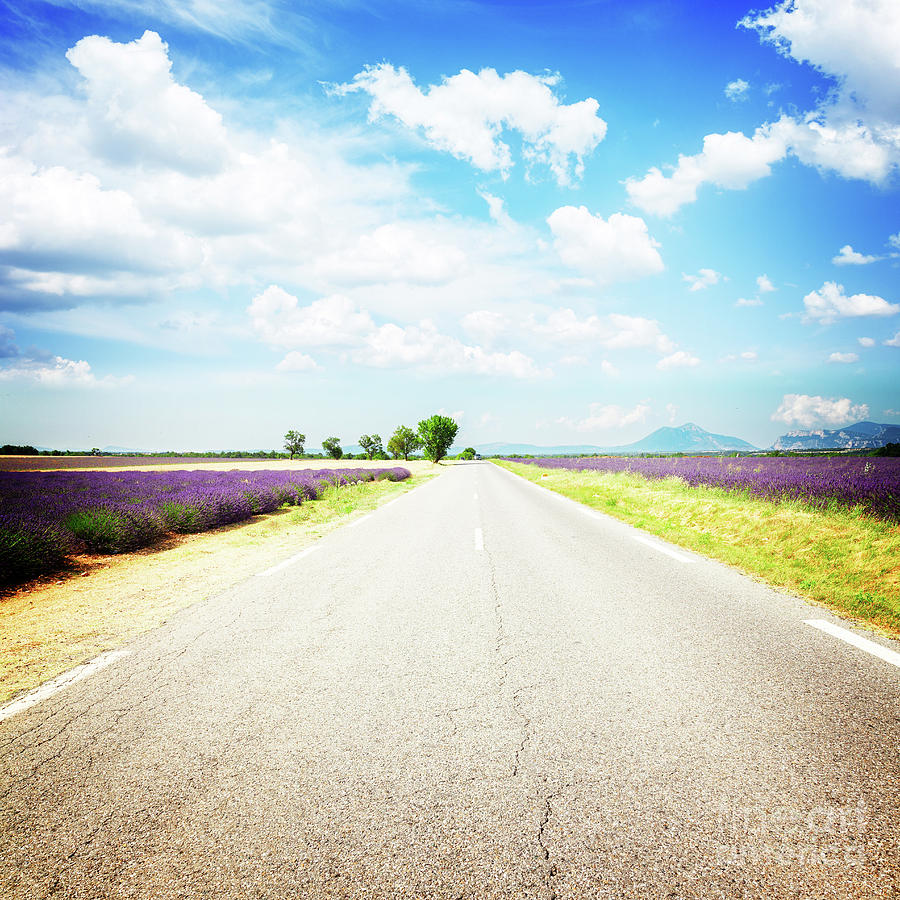 Country  Road of Provence Photograph by Anastasy Yarmolovich