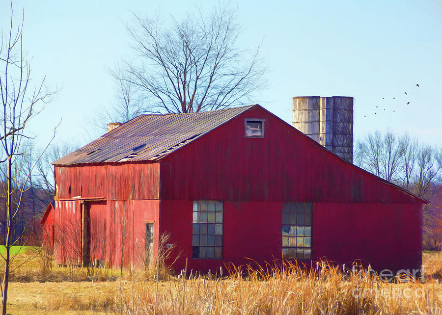 Country Road, Ohio Barn Photograph by Janice Pariza