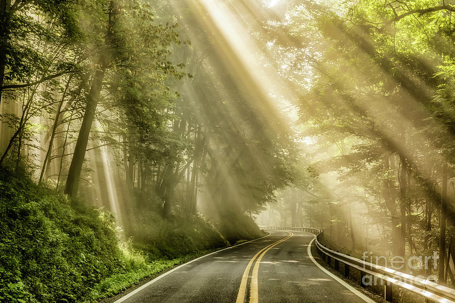 Country Road Rays of Light Photograph by Thomas R Fletcher