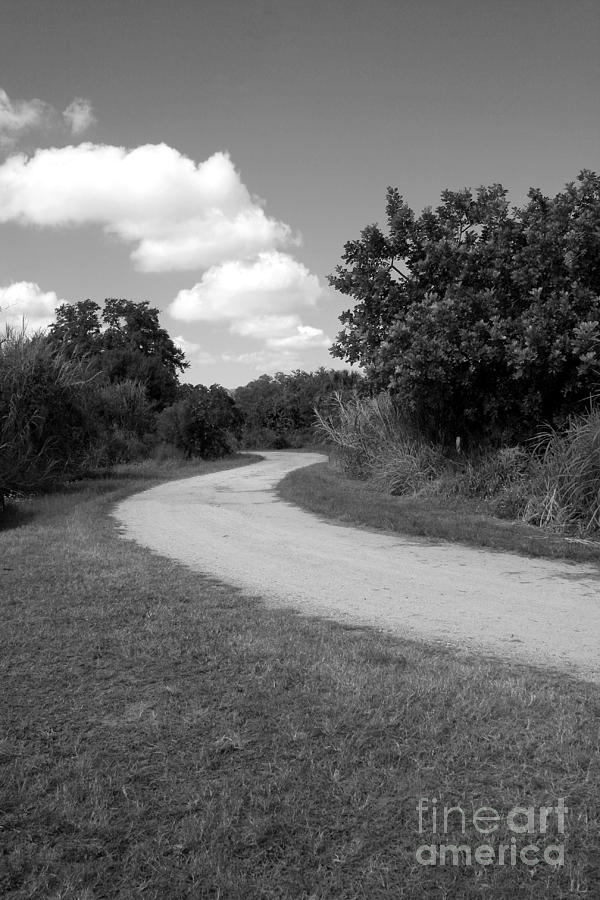 Country Road Photograph by Robert Wilder Jr
