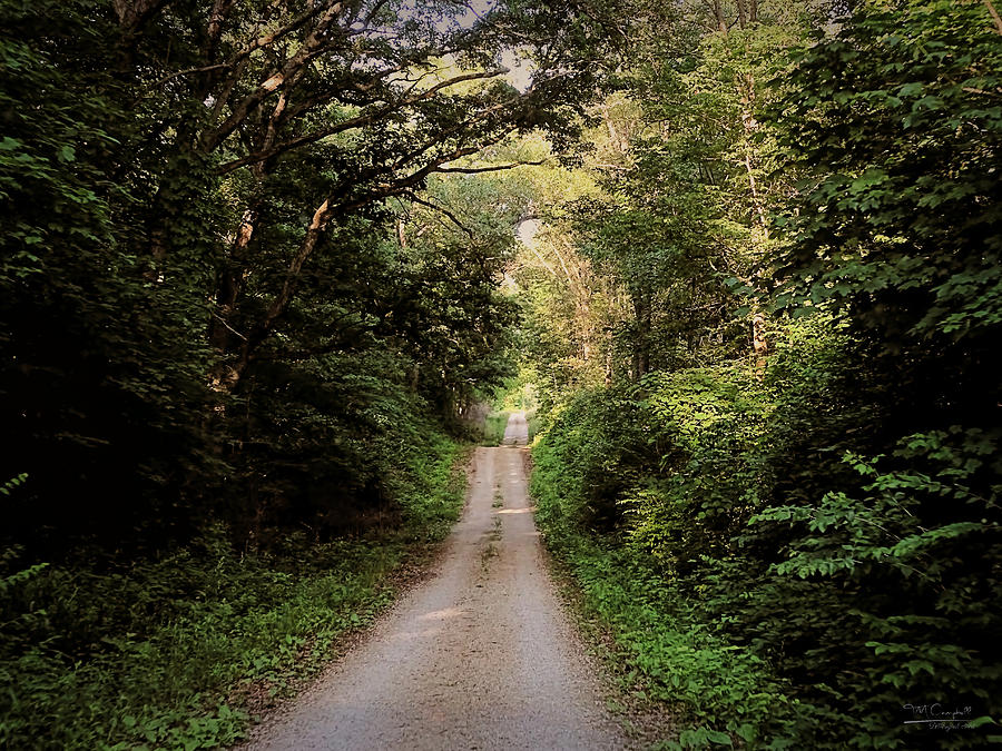 Country Road Take Me Home Photograph by Theresa Campbell
