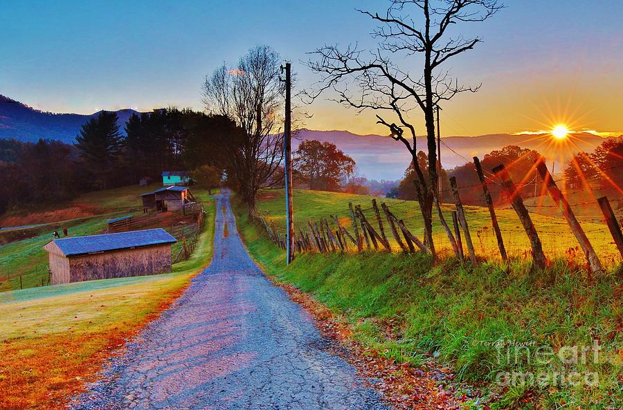 Country Road Photograph By Terrah Hewett