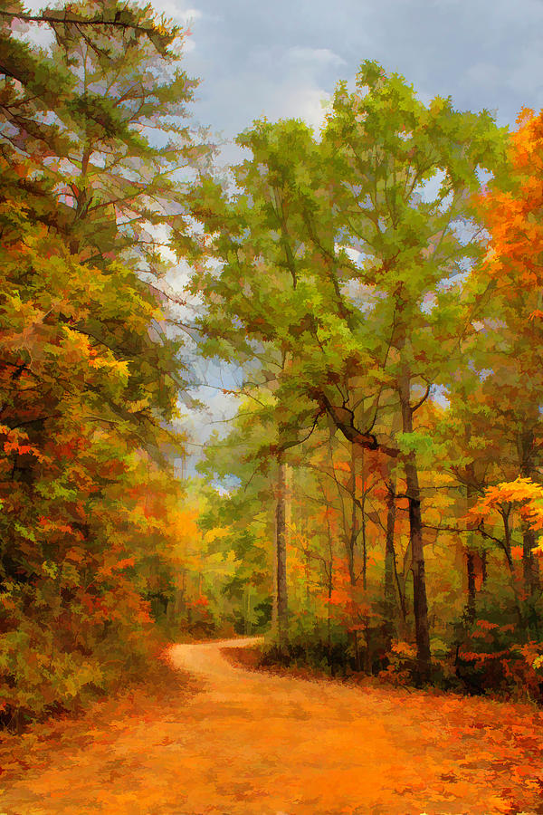 Fall Photograph - Country Road Variation 1 by Lorraine Baum