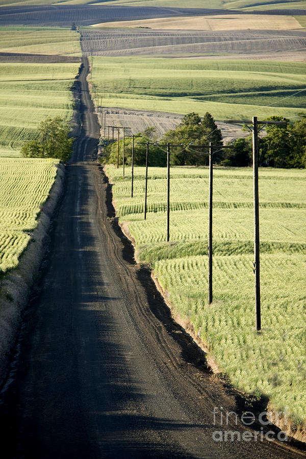 Country Road, Wheat Fields Photograph by Inga Spence Country Road, Wheat Fields Photograph by Inga Spence