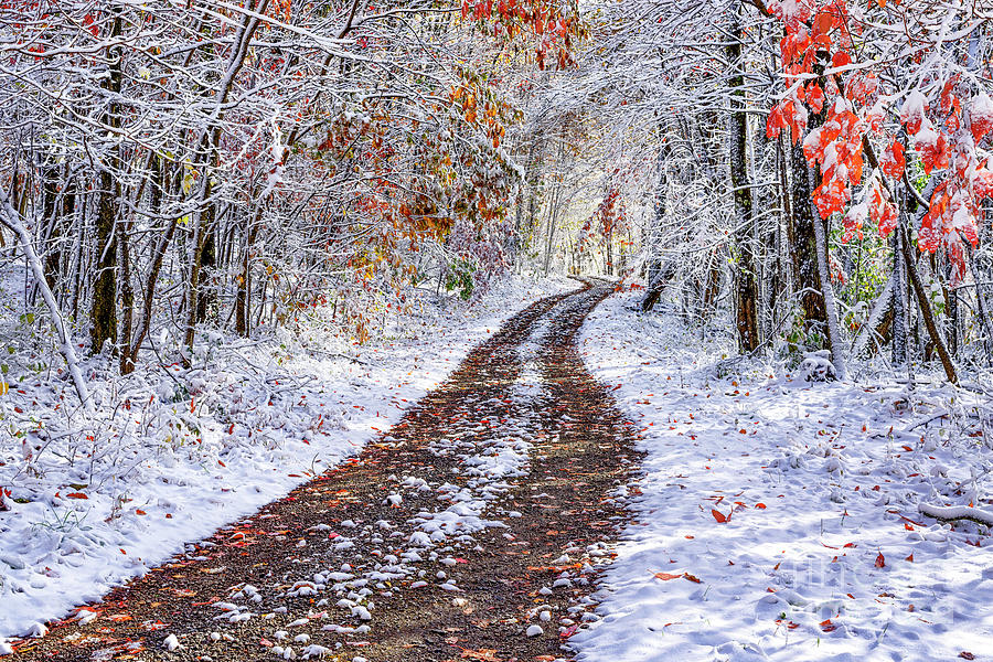 Country Road with Autumn Snow  Photograph by Thomas R Fletcher