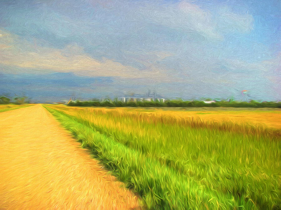 Country Roads  Digital Art by Cathy Anderson
