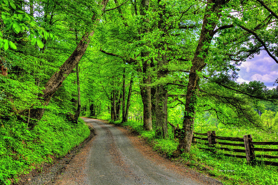 Country Roads Photograph by Dale R Carlson