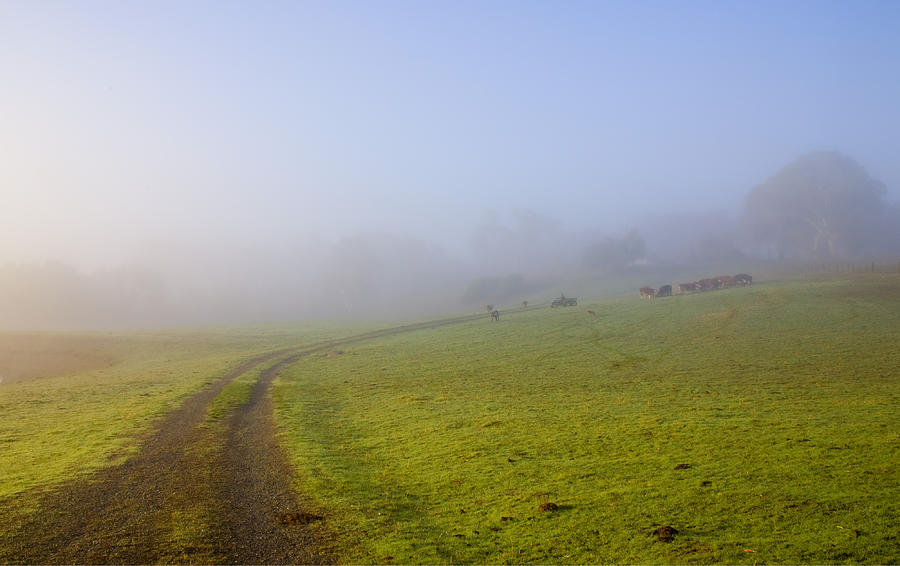 Farm Photograph - Country Roads by Michael Dawson