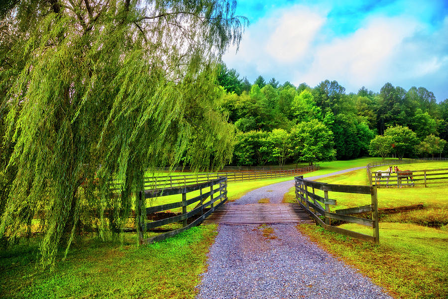 Country Roads Take Me Home Photograph by Debra and Dave Vanderlaan