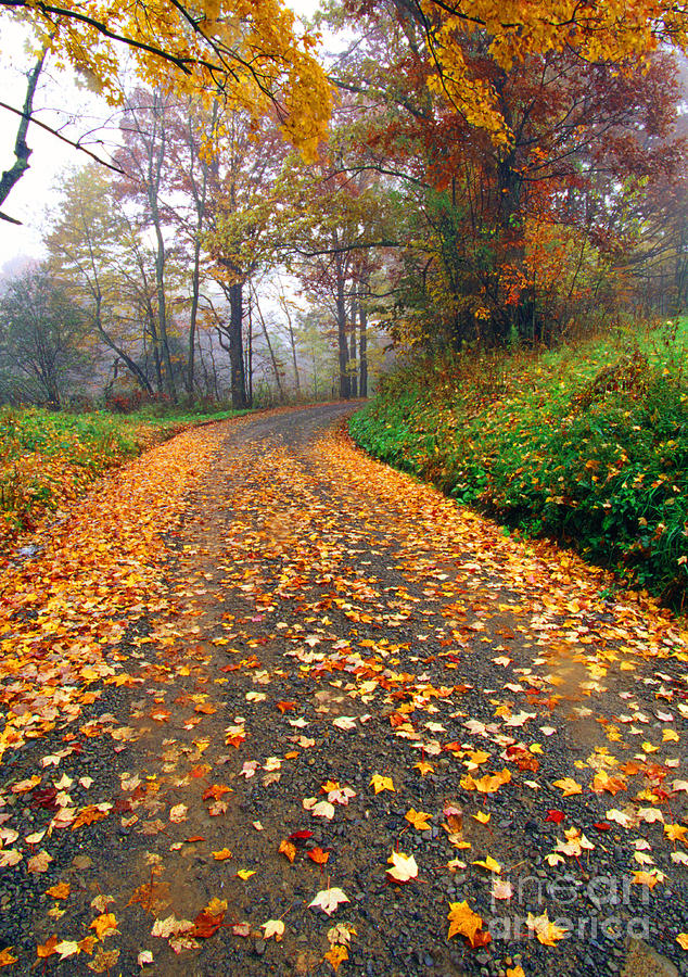 Fall Photograph - Country Roads Take Me Home by Thomas R Fletcher