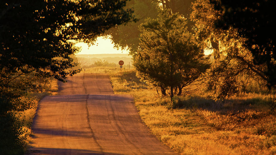 Country Roads To Home Photograph by John De Bord