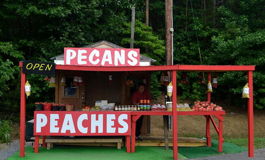 Country Roadside Stand Photograph by Eileen Brymer