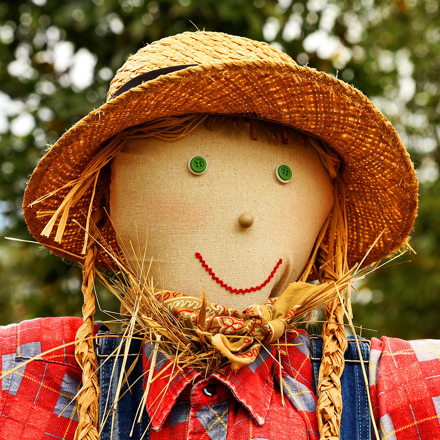 Country Scarecrow Photograph by Judy Vincent