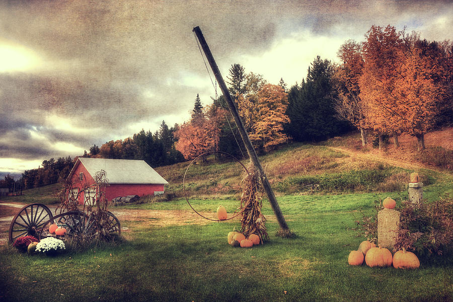 Country Scene in Autumn Photograph by Joann Vitali