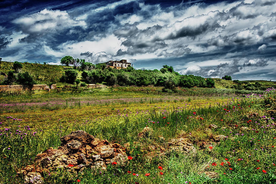 Country Side Sicily Photograph by Patrick Boening