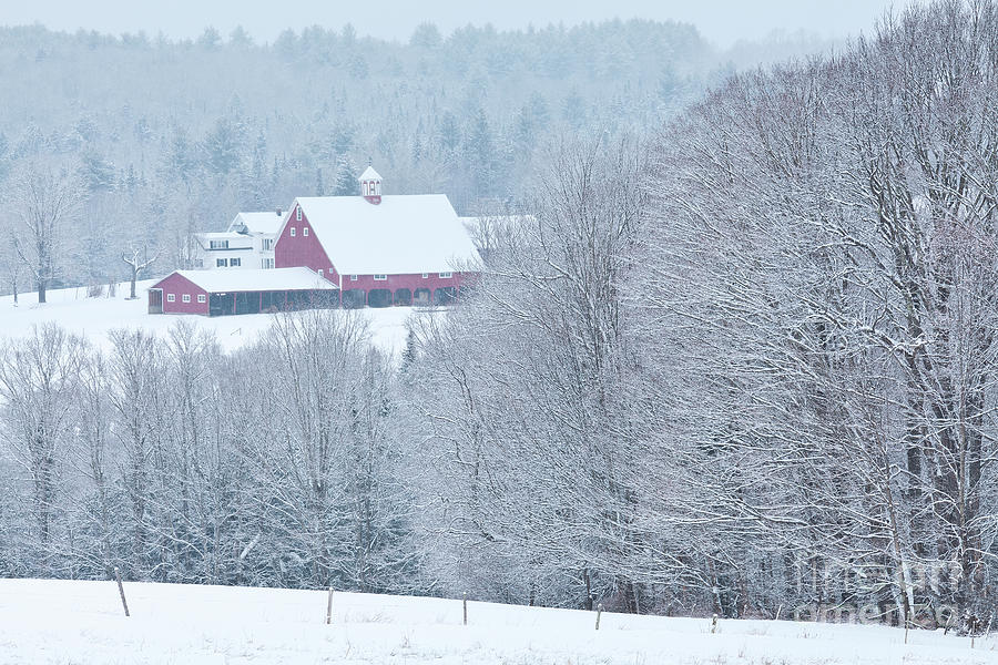 Country Snowfall Photograph by Alan L Graham