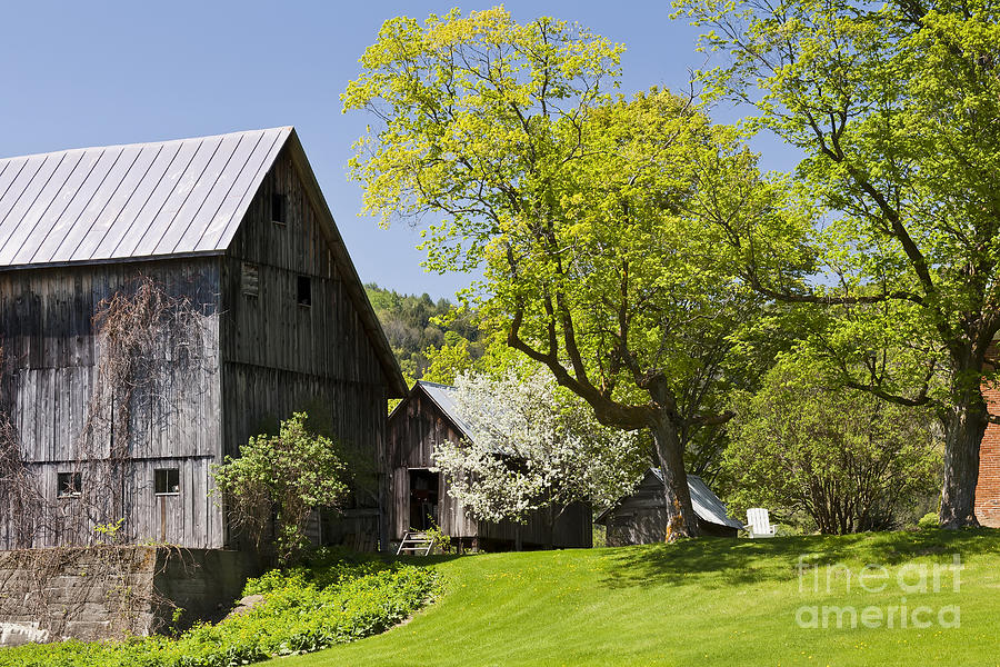 Country Spring Scenic Photograph by Alan L Graham