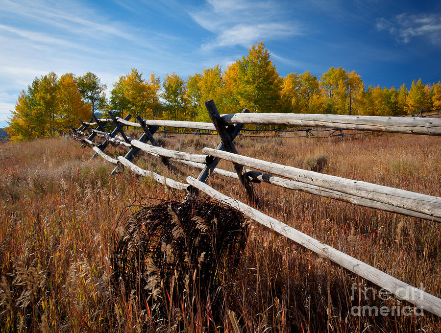 Country State of Mind Photograph by Idaho Scenic Images Linda Lantzy