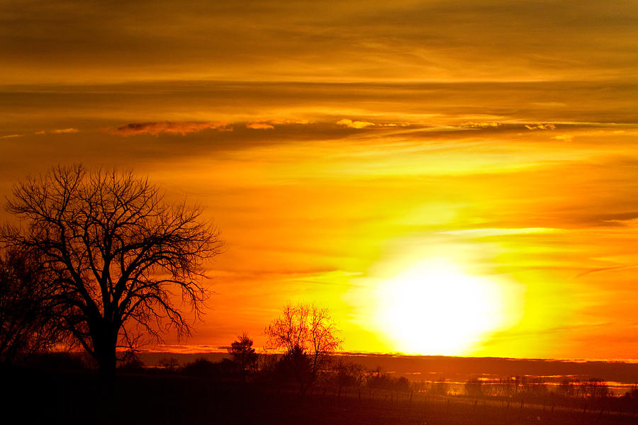 Nature Photograph - Country Sunrise 1-27-11 by James BO Insogna