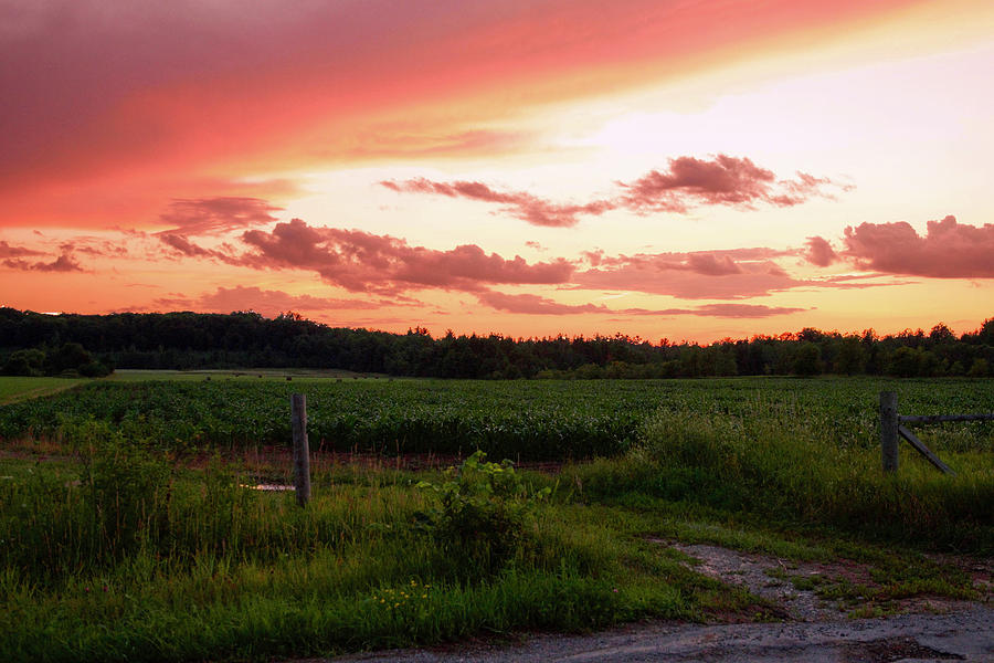 Sunset Photograph - Country Sunset 6524 by Michael Peychich