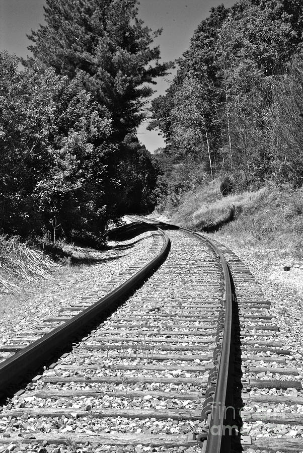 Country Tracks Black and White Photograph by Mark Dodd