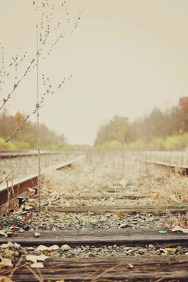 Country Tracks  Photograph by Megan Swormstedt