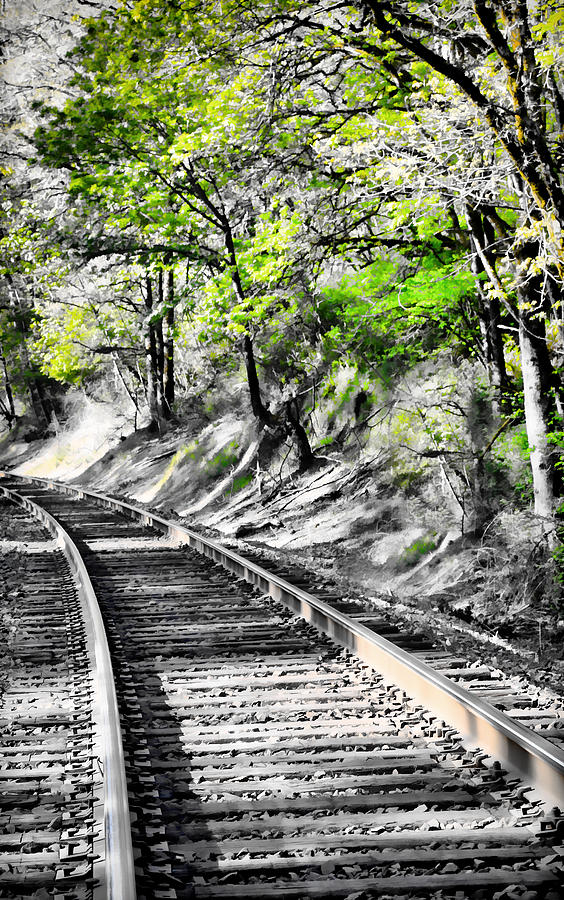 Country Train Tracks Photograph by Athena Mckinzie