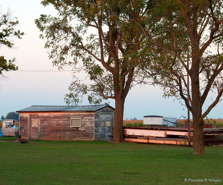 Country Vignette Photograph by Paulette B Wright