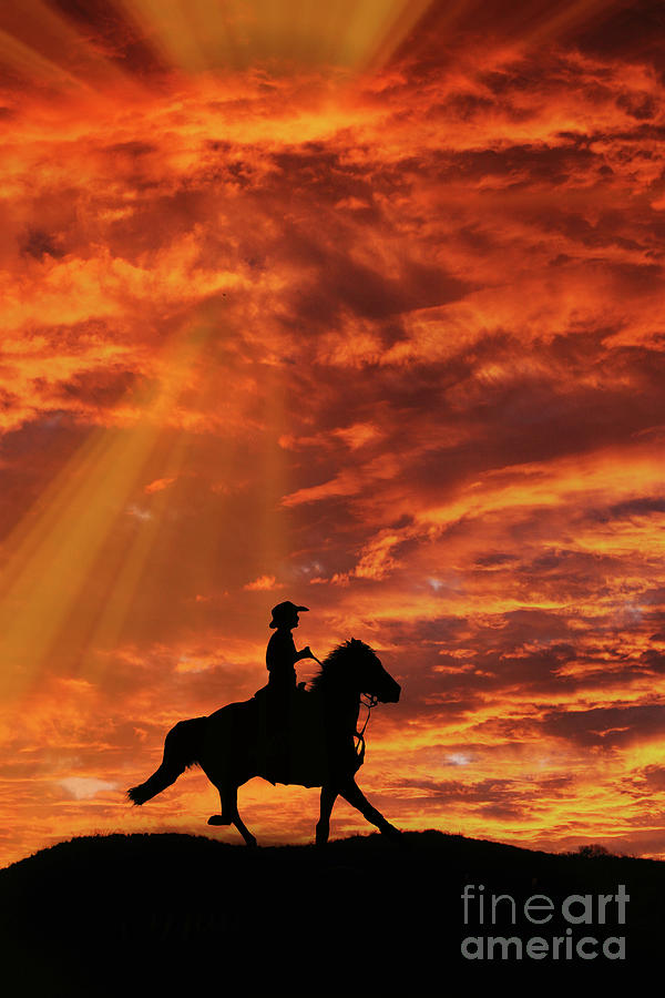 Country Western Riding Cowboy And Sunset Photograph By Stephanie Laird