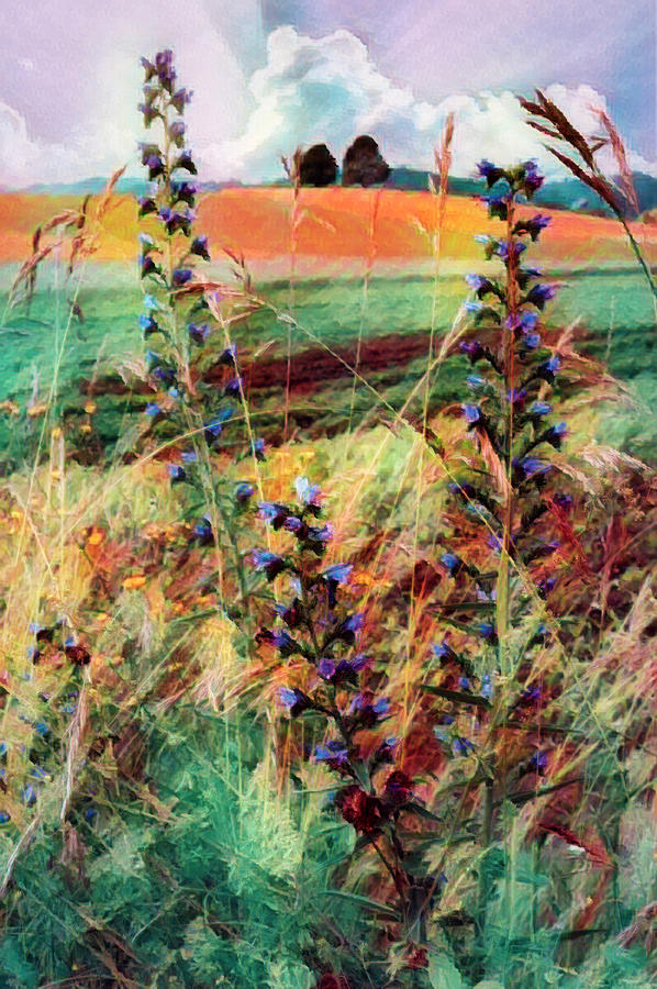 Country Wildflowers Painting Photograph by Debra and Dave Vanderlaan