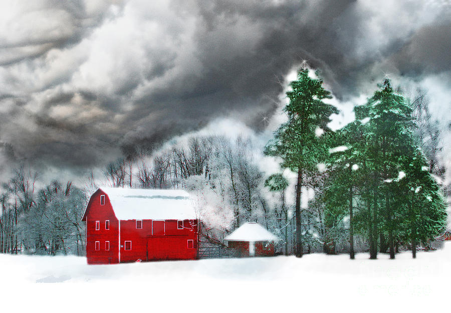 Country winter Photograph by Gina Signore