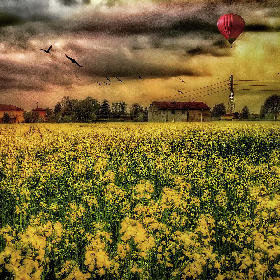 Countryscape with air balloon Photograph by Roberto Pagani