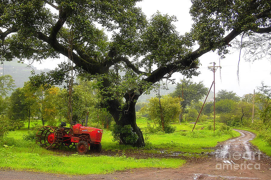 Tree Photograph - Countryside by Charuhas Images