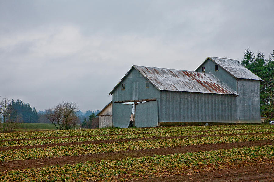 Countryside Farm Photograph by Liz Santie - Fine Art America