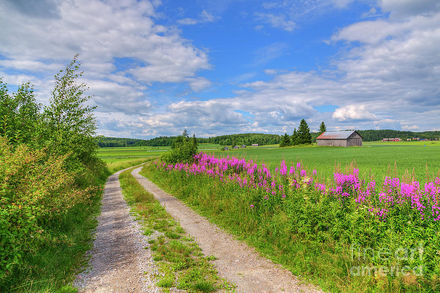 Countryside in Finland Photograph by Veikko Suikkanen - Fine Art America