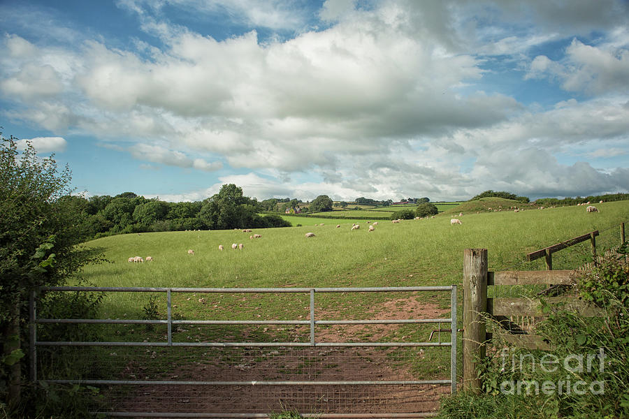Countryside in Wales Photograph by Patricia Hofmeester