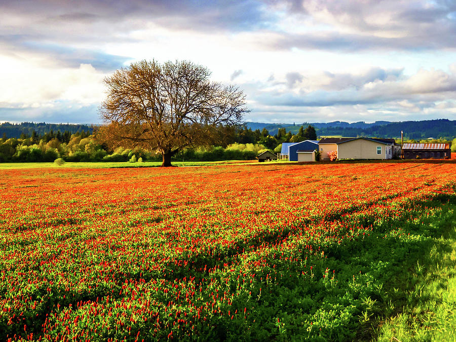 Countryside, Oregon Photograph by Aashish Vaidya