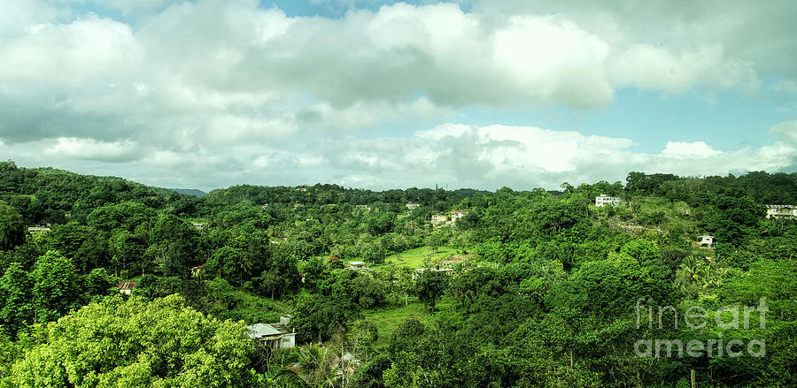 Countryside Outside of Browns Town, Saint Ann, Jamaica Photograph by David Oppenheimer