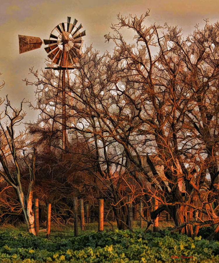 Countryside Windmill Photograph by Blake Richards