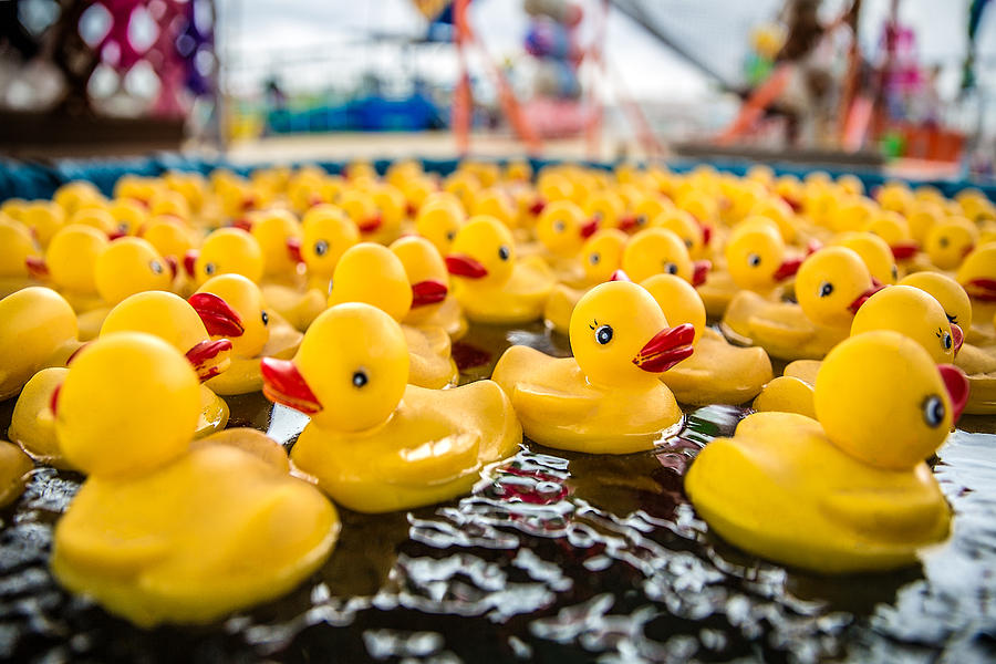 Rubber Ducks Photograph - County Fair Rubber Duckies by Todd Klassy