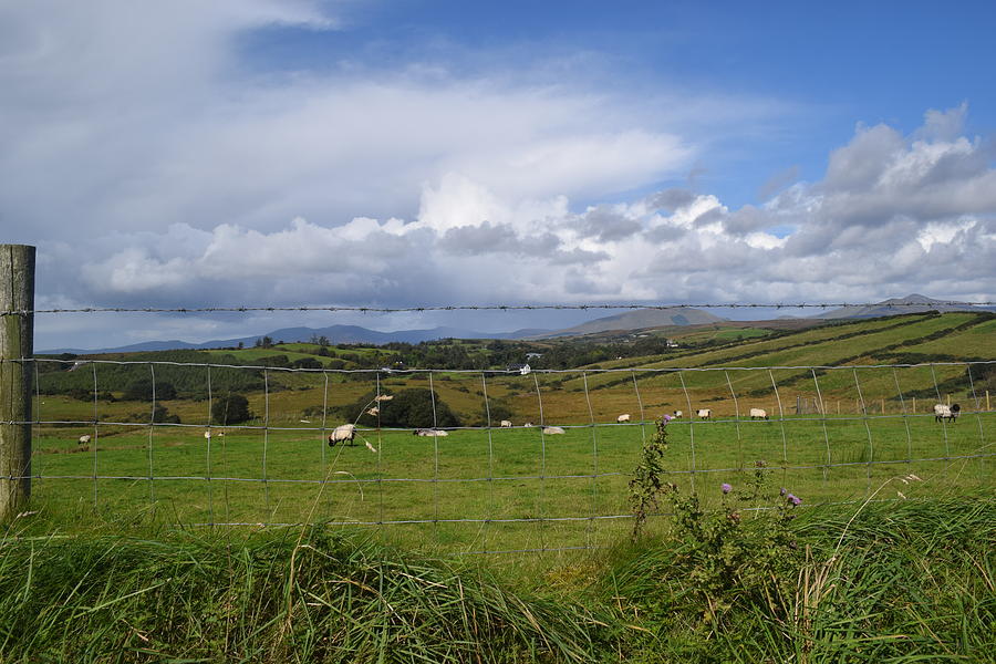 County Mayo Photograph by Curtis Krusie