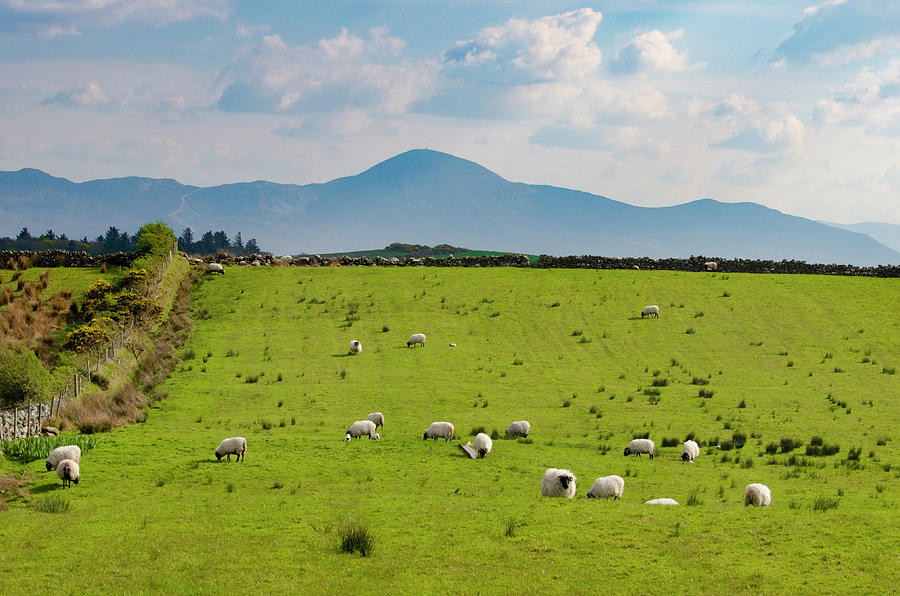 County Mayo Ireland Farm Photograph by Bill Cannon