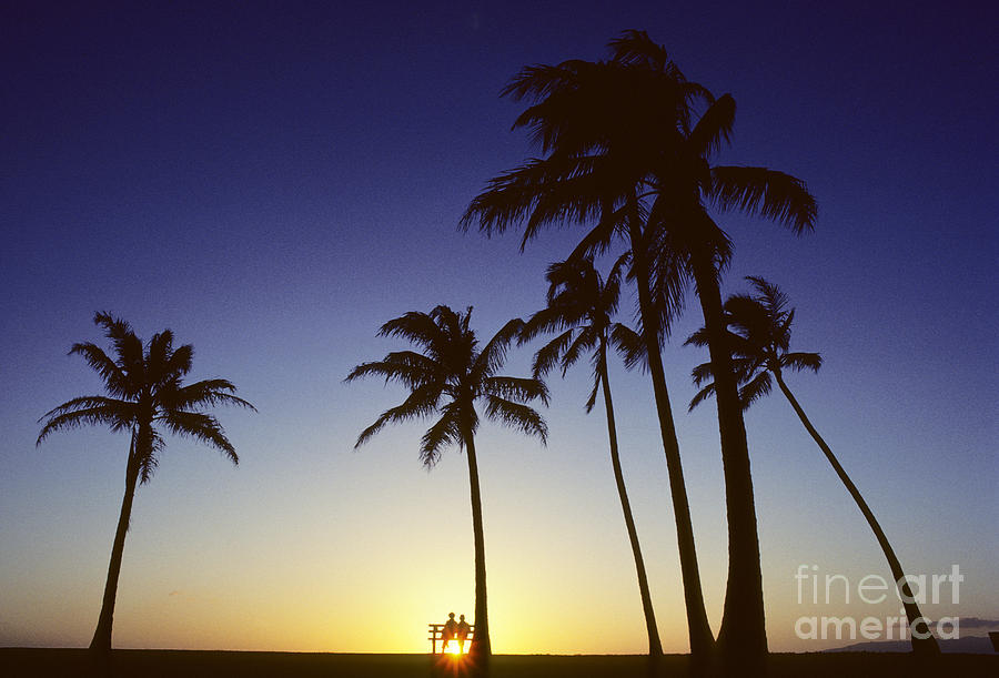 Paradise Photograph - Couple And Sunset Palms by Carl Shaneff - Printscapes