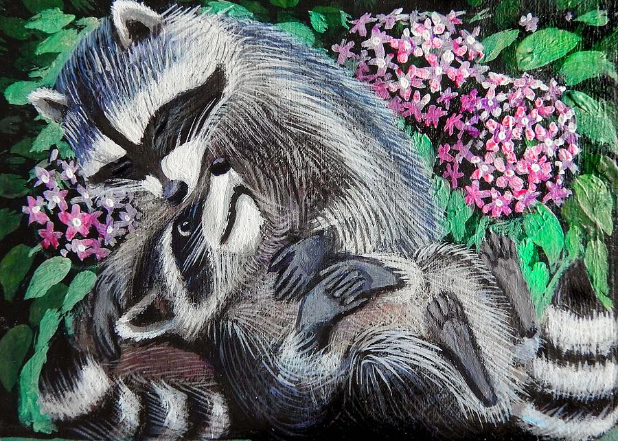 Raccoons Courting