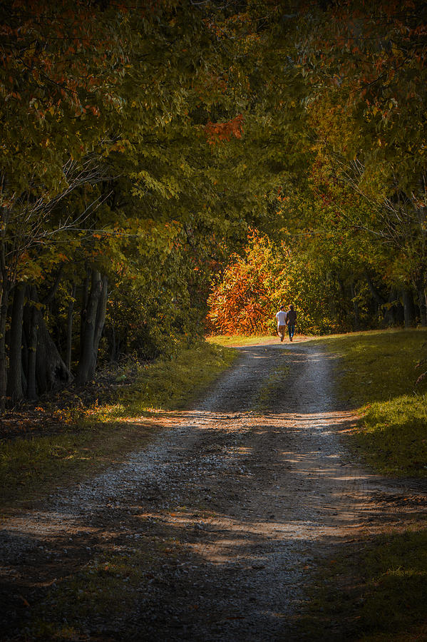 Couple walking on a Dirt Road through a Tree Canopy during Autumn Photograph by Randall Nyhof
