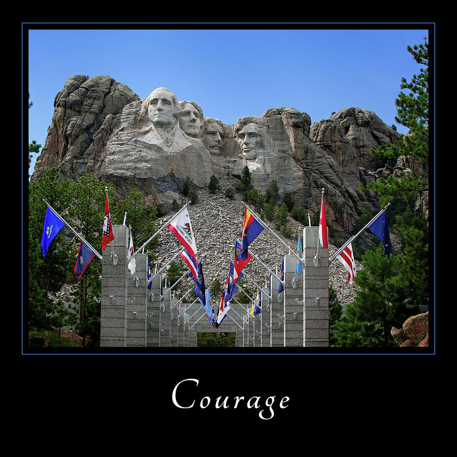 Courage 1 Photograph by Mary Jo Allen
