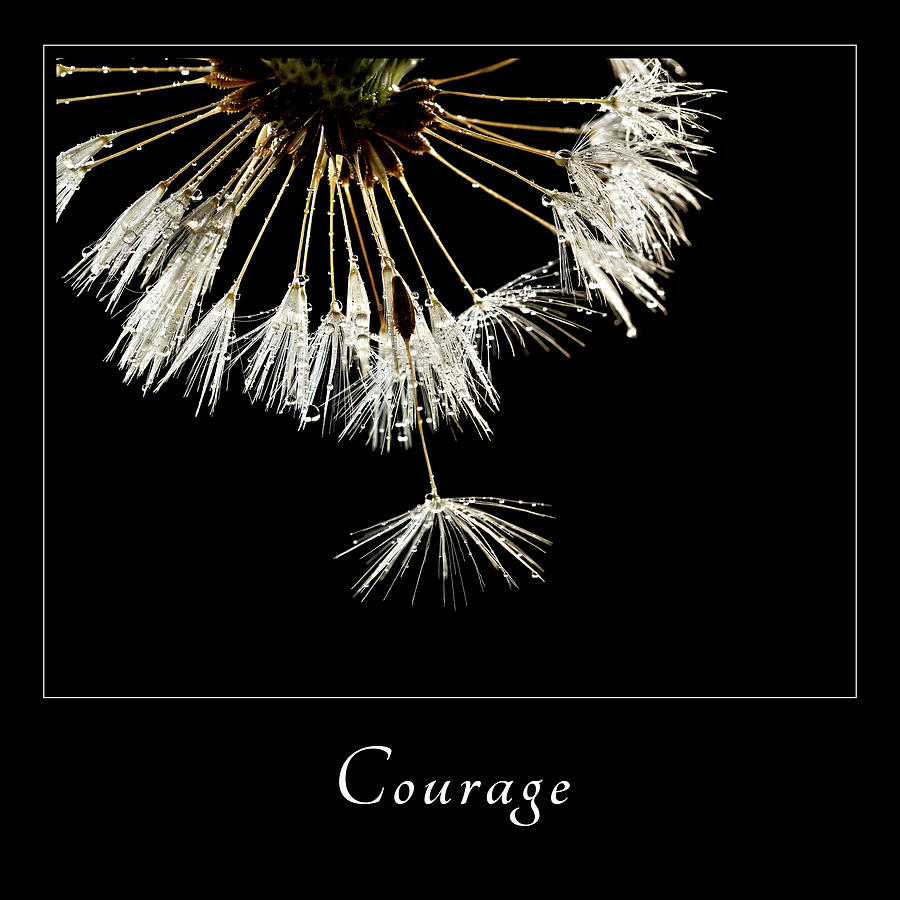 Courage 3 Photograph by Mary Jo Allen